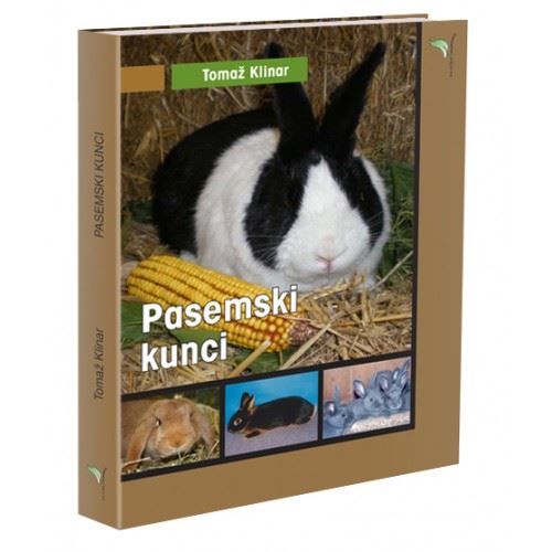 PASEMSKI KUNCI