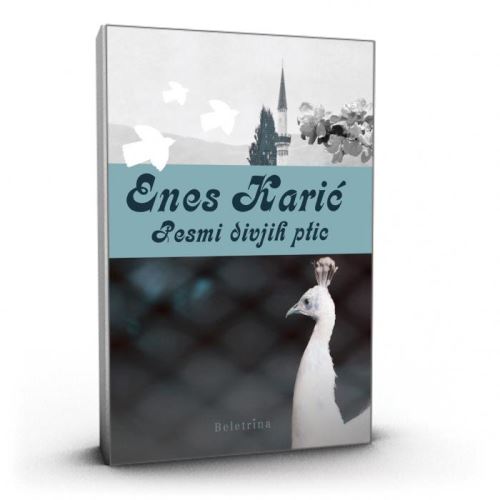 PESMI DIVJIH PTIC