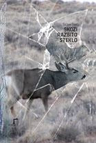 Skozi razbito steklo