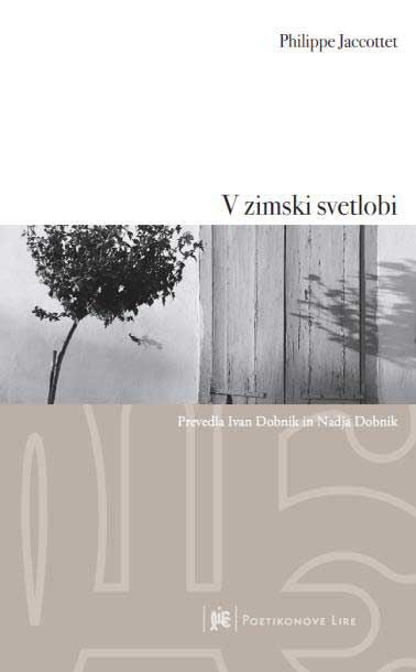 V zimski svetlobi