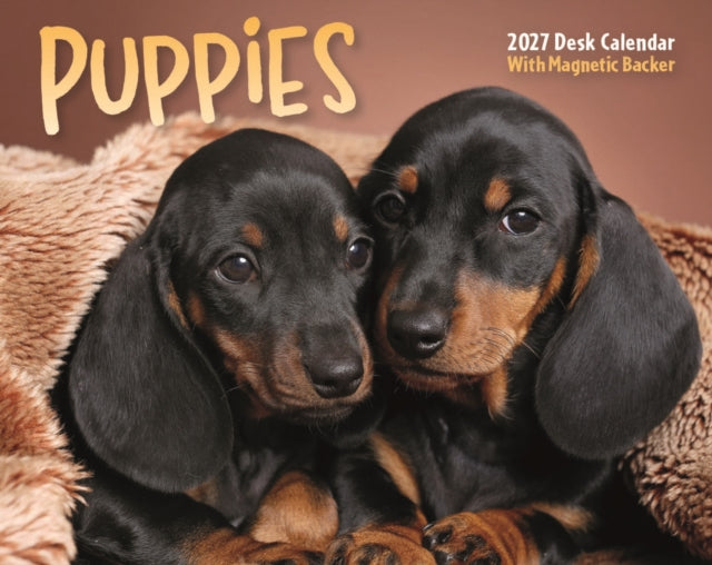 Puppies Mini Box