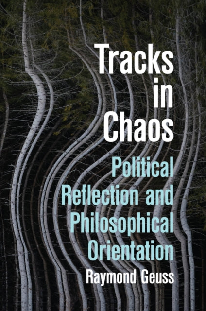 Tracks in Chaos: Philosophical Orientation and Pol itical Reflection