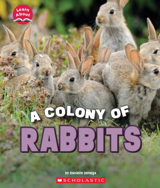 Colony of Rabbits (Learn About: Animals)