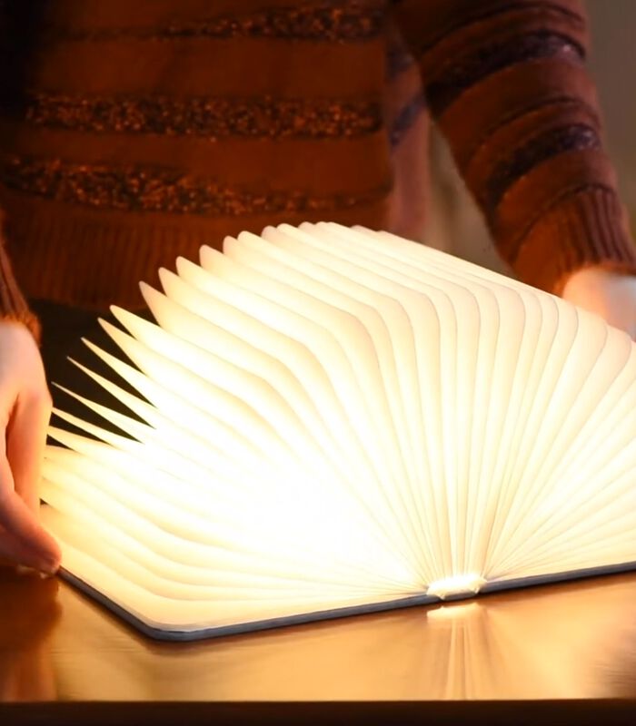 Dekorativna lučka Gingko, velika knjiga, siva