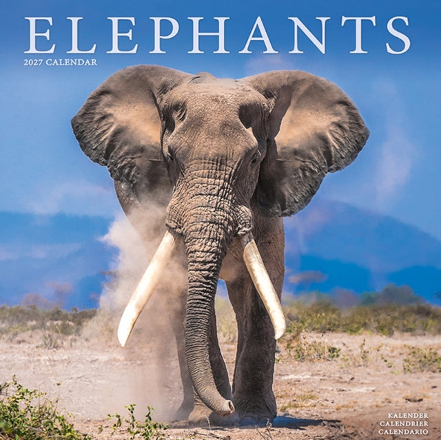 Elephants