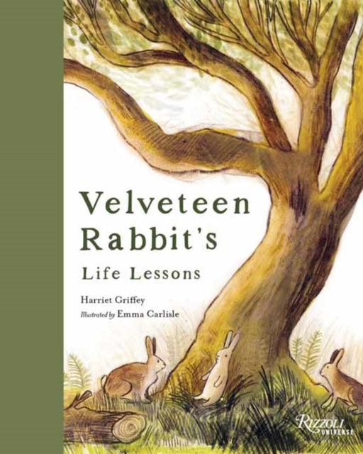 Velveteen Rabbit's Life Lessons