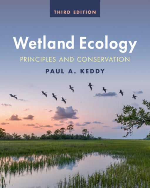 Wetland Ecology