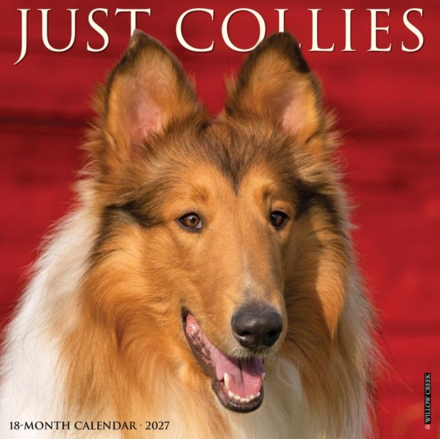 Collies 2027 Wall