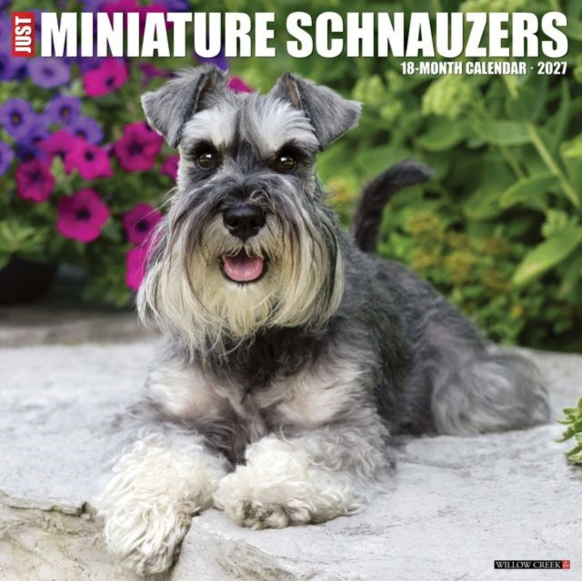 Miniature Schnauzers 2027 Wall