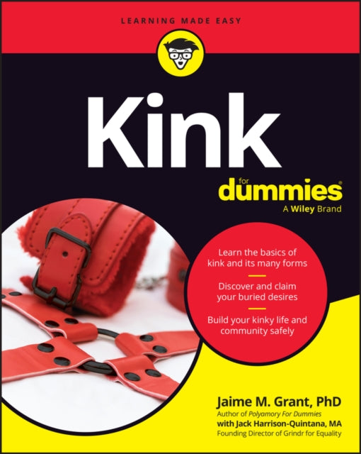 Kink For Dummies
