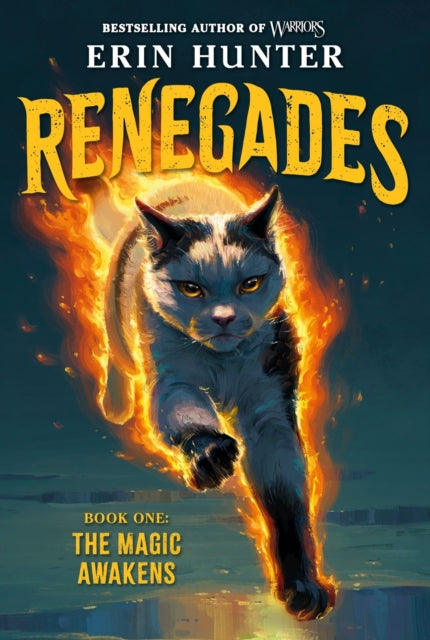 Renegades #1: The Magic Awakens