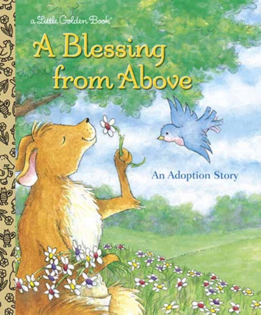 Blessing from Above
