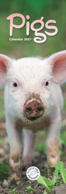 Pigs (PFP)Slim