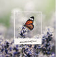 ZVEZEK A4 D TARGET 29918 ROB 54L FOTO FRAME(26)
