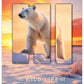 ZVEZEK A4 D 33469 ROB WILDLIFE TR.PL.96L 70G(5/30)