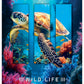 ZVEZEK A4 D 33469 ROB WILDLIFE TR.PL.96L 70G(5/30)