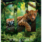 ZVEZEK A4 D 33469 ROB WILDLIFE TR.PL.96L 70G(5/30)