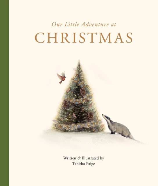 Our Little Adventure at Christmas