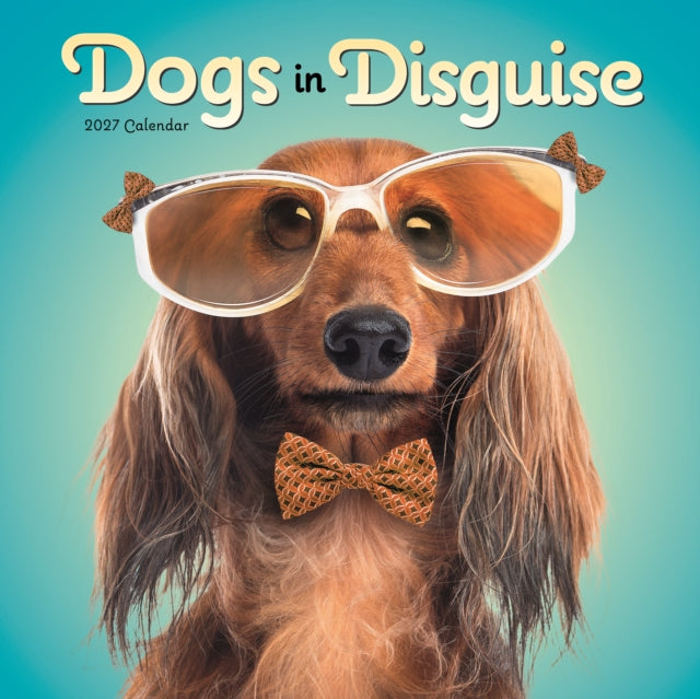 Dogs in Disguise Wall