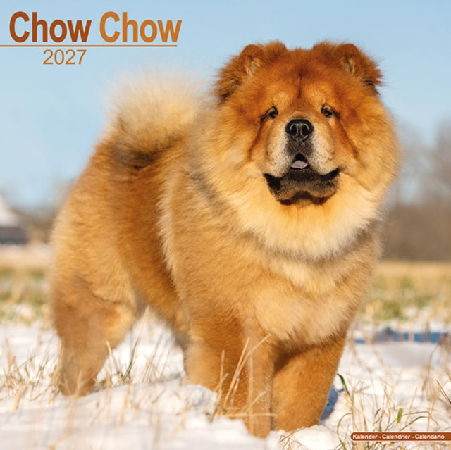 Chow Chow
