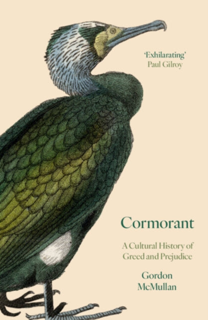 Cormorant