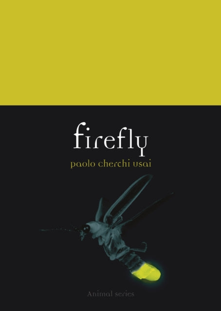 Firefly