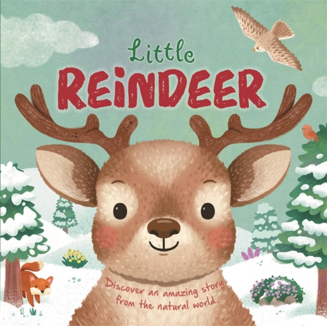 Little Reindeer