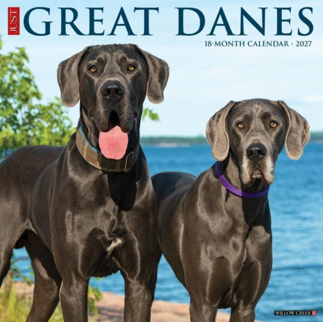 Great Danes 2027 Wall