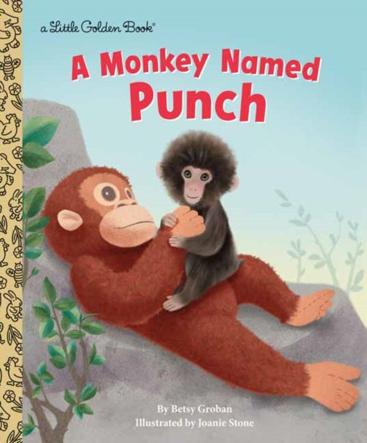 Monkey Named Punch