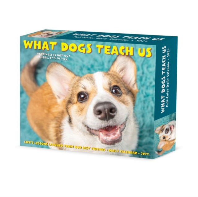 What Dogs Teach Us 2027 Box