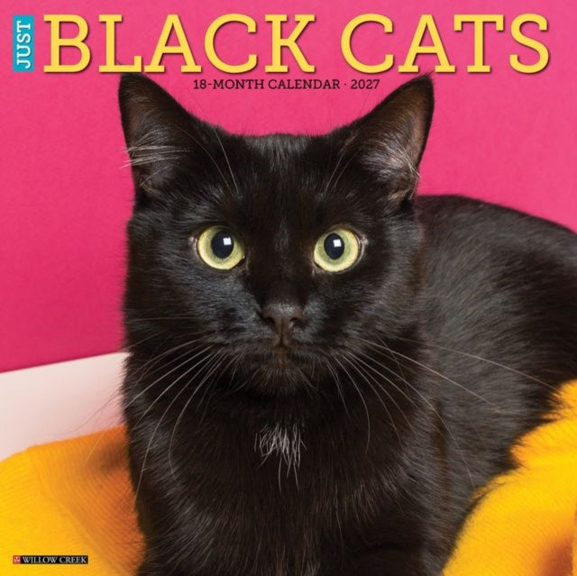 Black Cats 2027 Wall