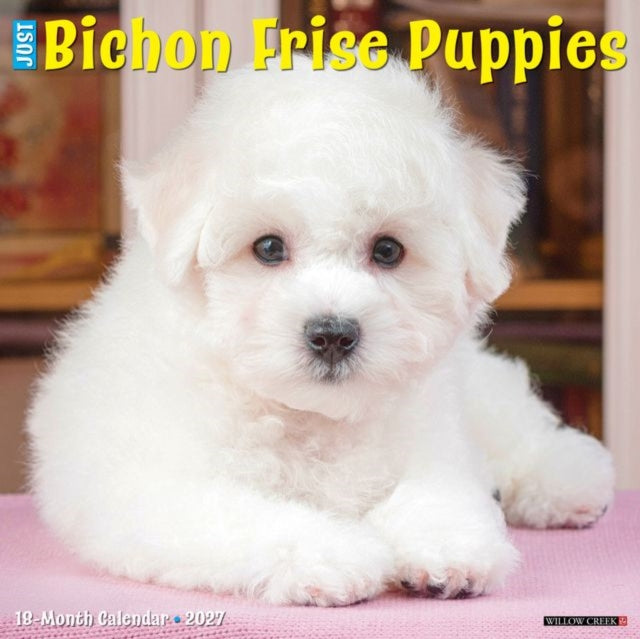 Bichon Frise Puppies 2027 Wall