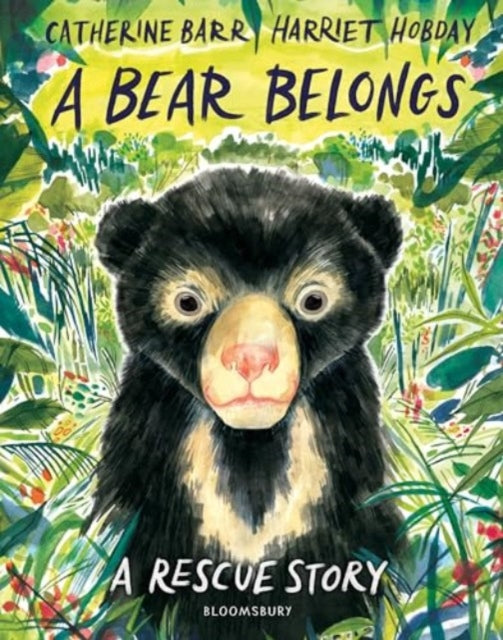 Bear Belongs