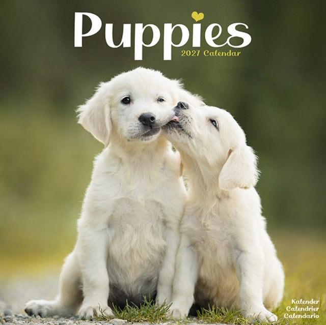 Puppies