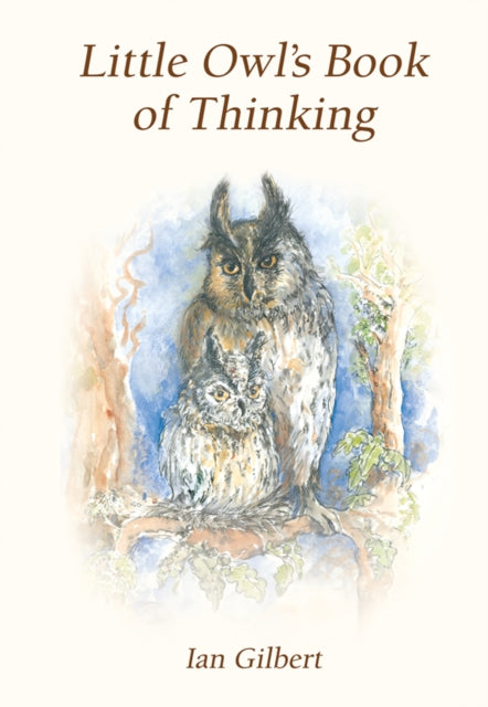 Little Owl's Book of Thinking