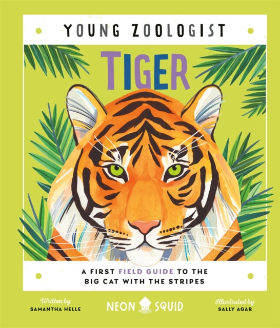 Tiger (Young Zoologist)