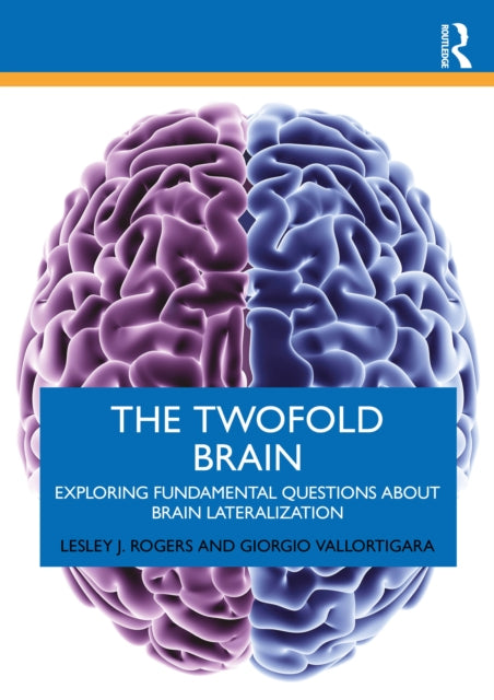 Twofold Brain