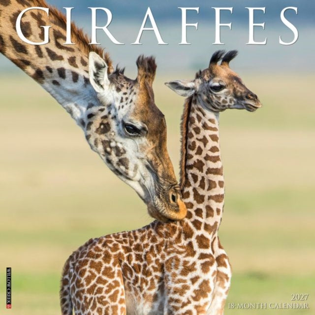 Giraffes 2027 Wall