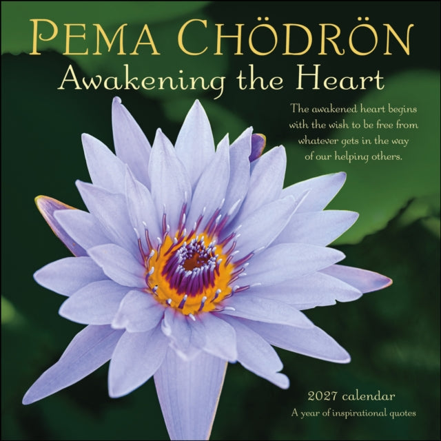 Pema Chodron 2027 Wall Calendar