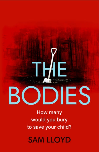 Bodies