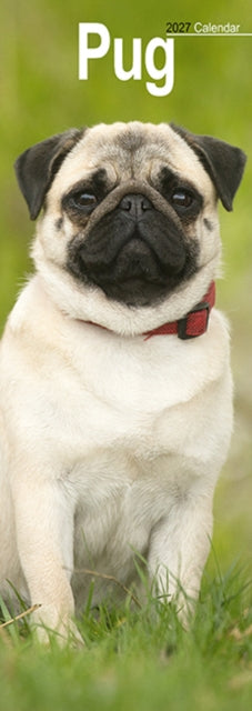 Pug Slim