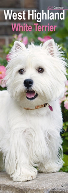 West Highland White Terrier Slim