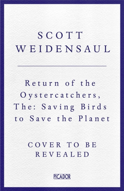 Return of the Oystercatcher, The