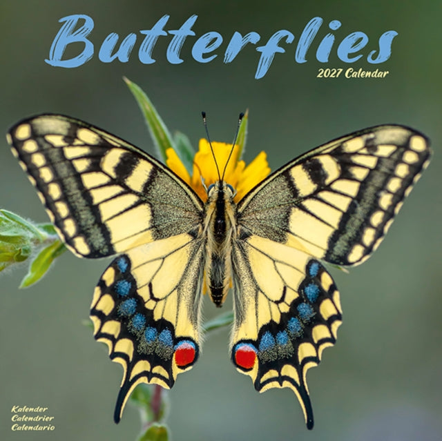 Butterflies