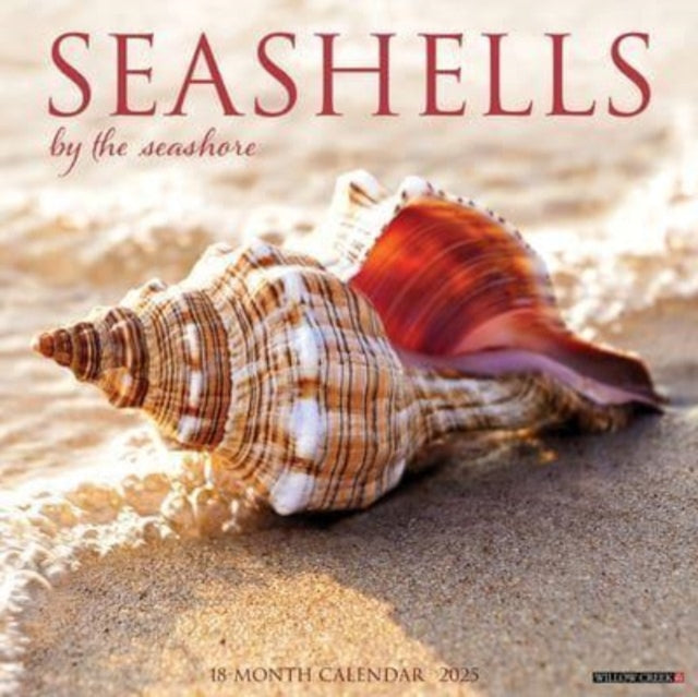 Seashells 2025 12 X 12 Wall Calendar