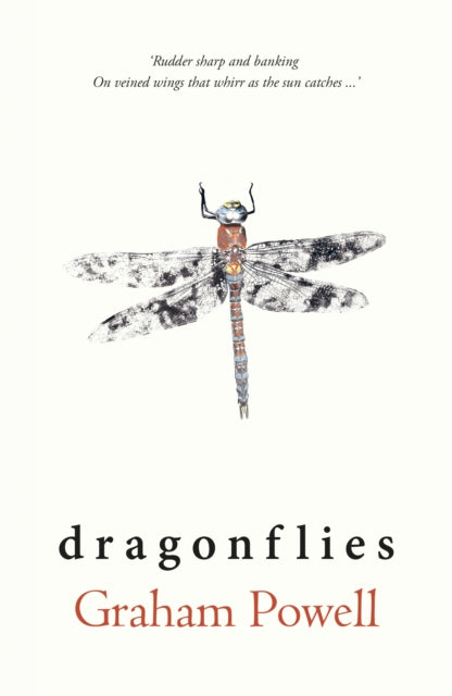 Dragonflies