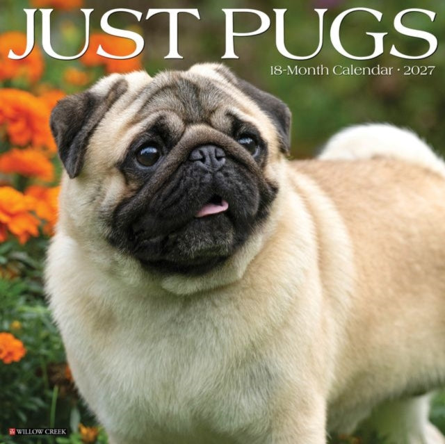 Pugs 2027 Wall