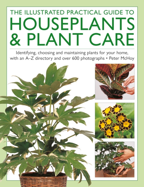 Illustrated Practical Guide to Houseplants & Plant Care