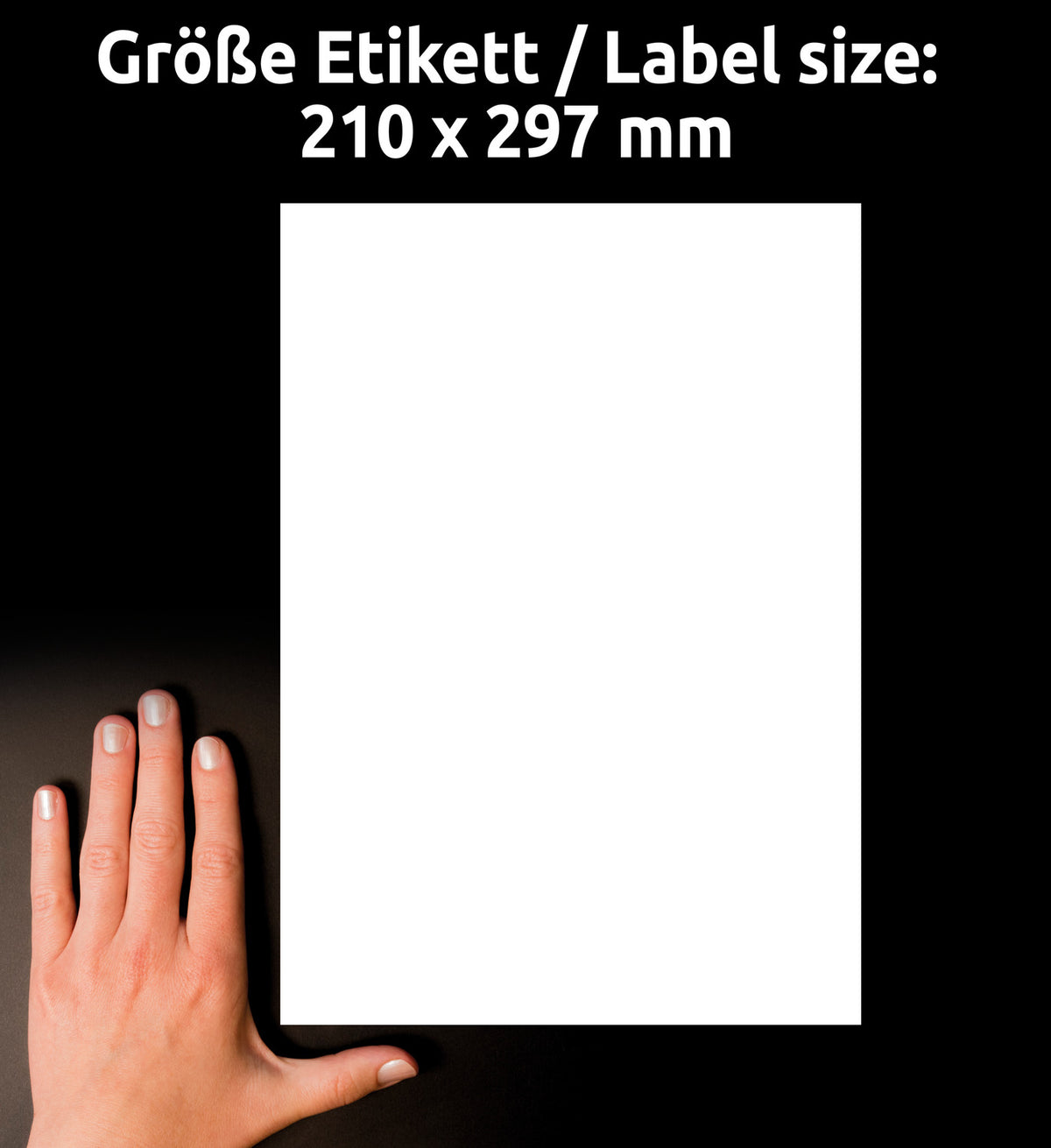 Etikete papirne bele univerzalne Avery Zweckform 3478, 210 x 297 mm