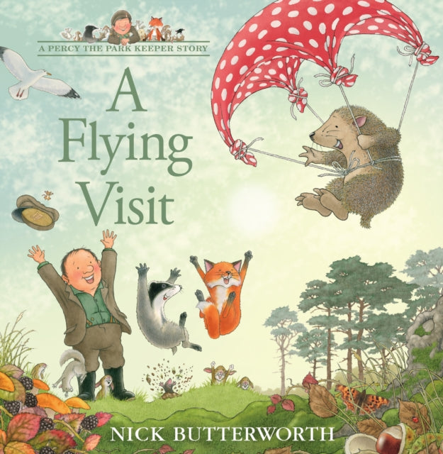 Flying Visit